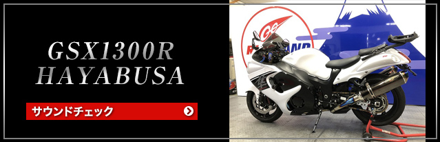 ZRX1200DAEG