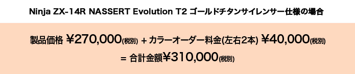 Ninja ZX]14R NASSERT Evolution T2 S[h`^TCT[dl̏ꍇ ii \270,000(ŕ) + J[I[_[(E2{) \40,000(ŕ)=vz\310,000(ŕ)