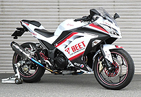 BEETサイレンサー　Ninja250